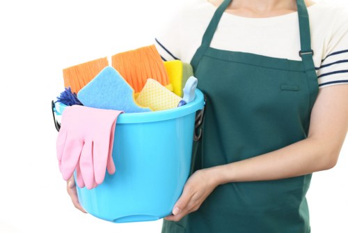 Professional window cleaning for homes and businesses in Lambeth