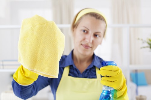 Professional oven deep cleaning service in a Lambeth home kitchen