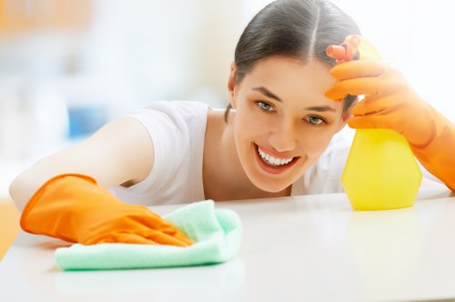 Cleaner reviewing a reported issue in a professional setting