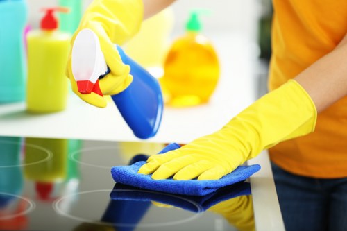 Professional cleaners maintaining a shared office space in Lambeth