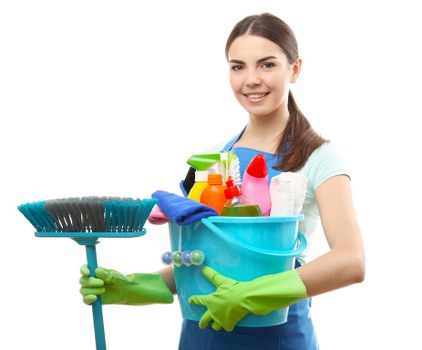 Specialist carpet cleaning equipment used for pet stain removal in Lambeth