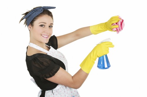 Cleaner Lambeth team completing a safe and professional cleaning service