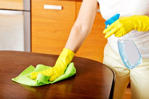 Detailed cleaning of bathroom fixtures before moving into a Lambeth home
